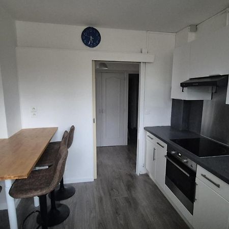 Appartement Spacieux & Paisible Meythet Экстерьер фото